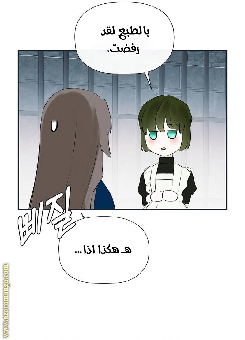 الصفحة 19