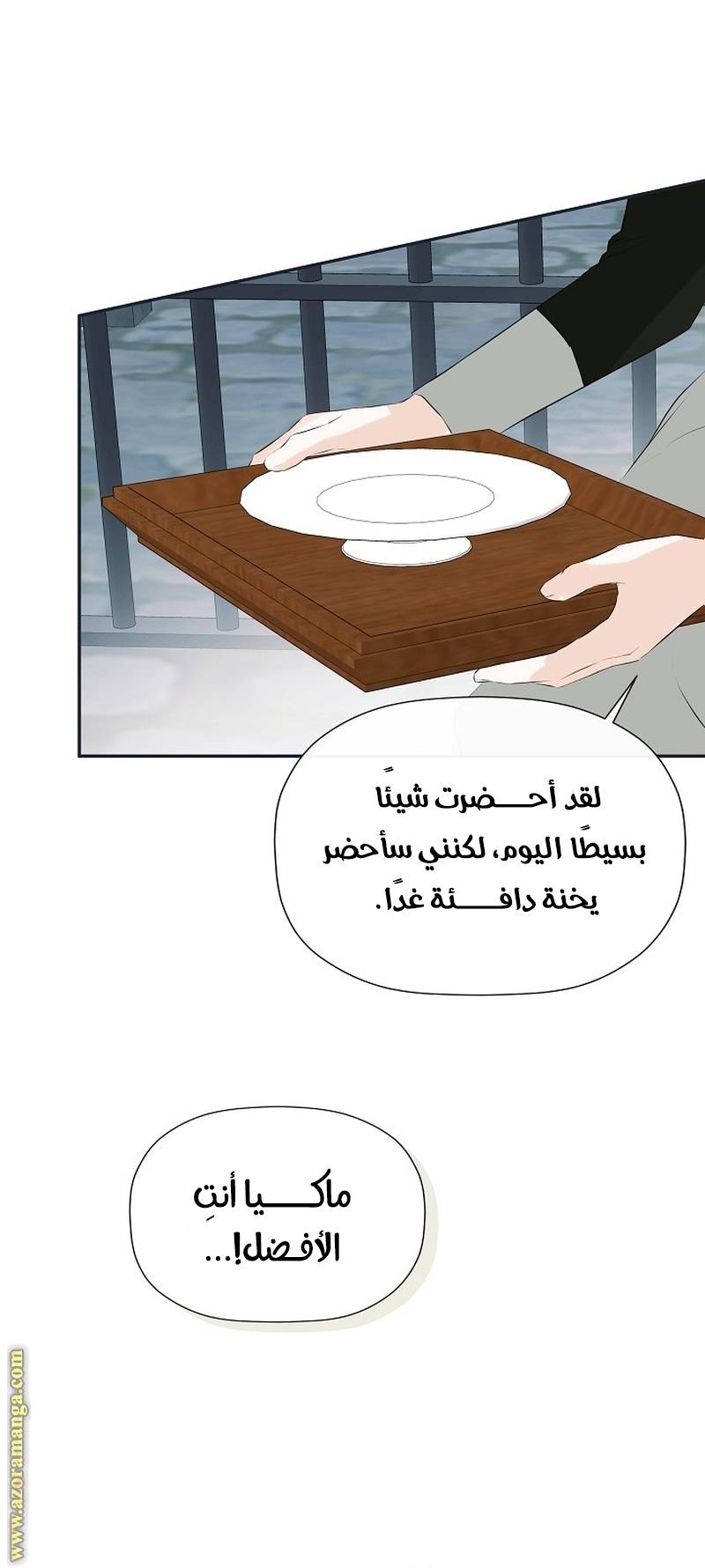 الصفحة 21