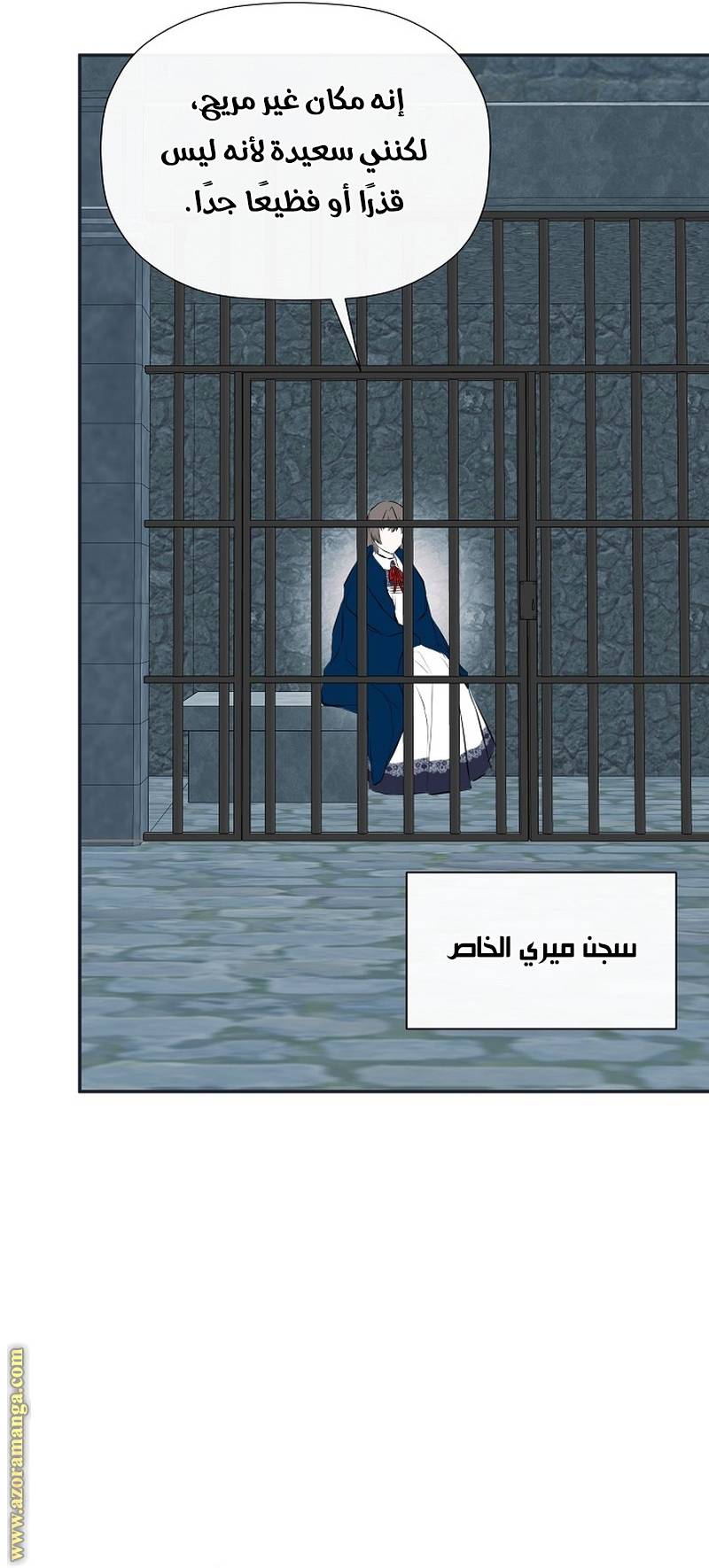 الصفحة 25