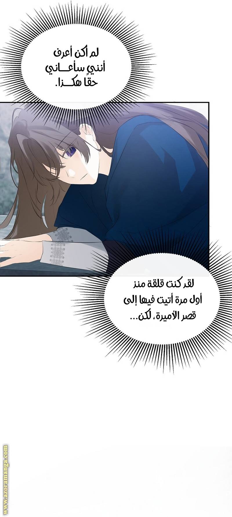 الصفحة 26