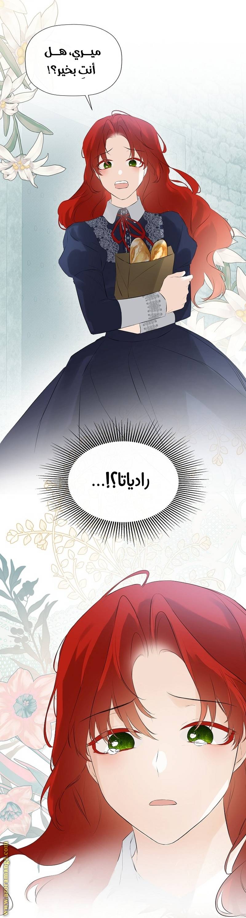 الصفحة 39