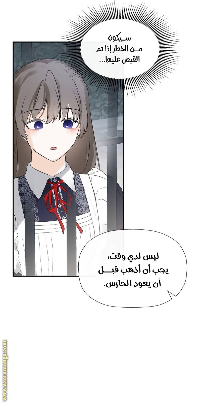 الصفحة 42