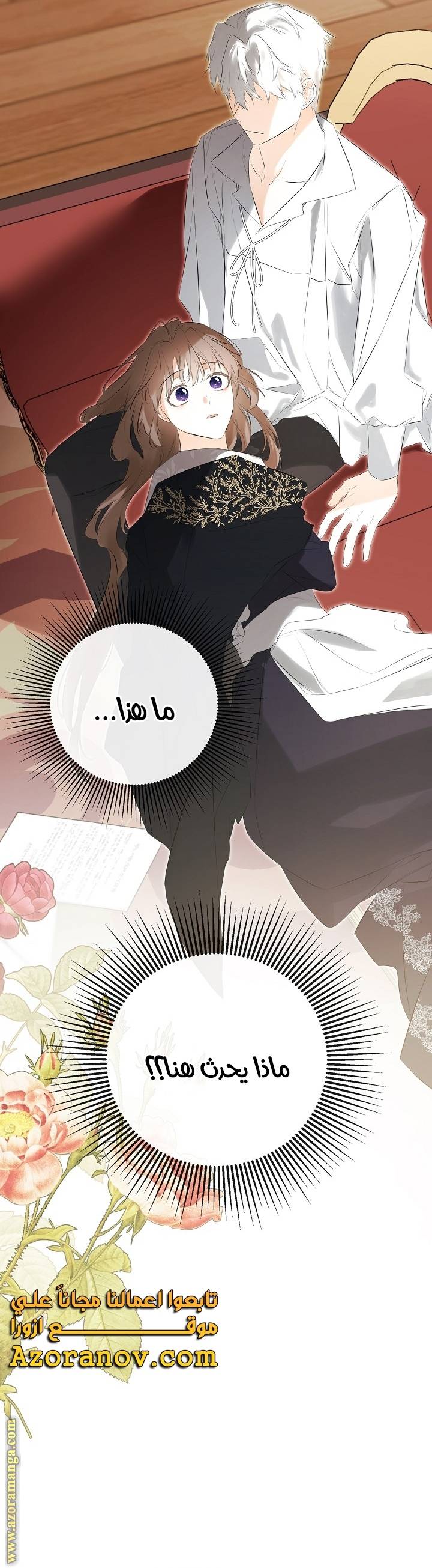 الصفحة 17