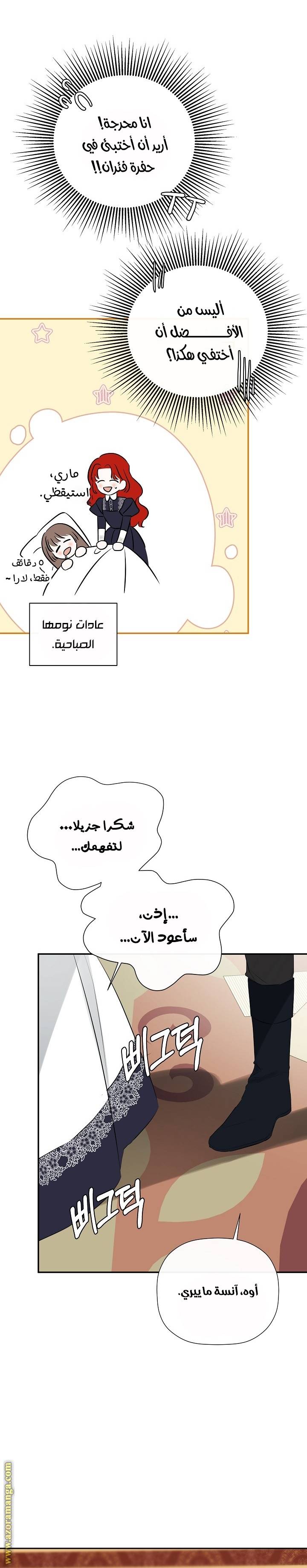 الصفحة 19