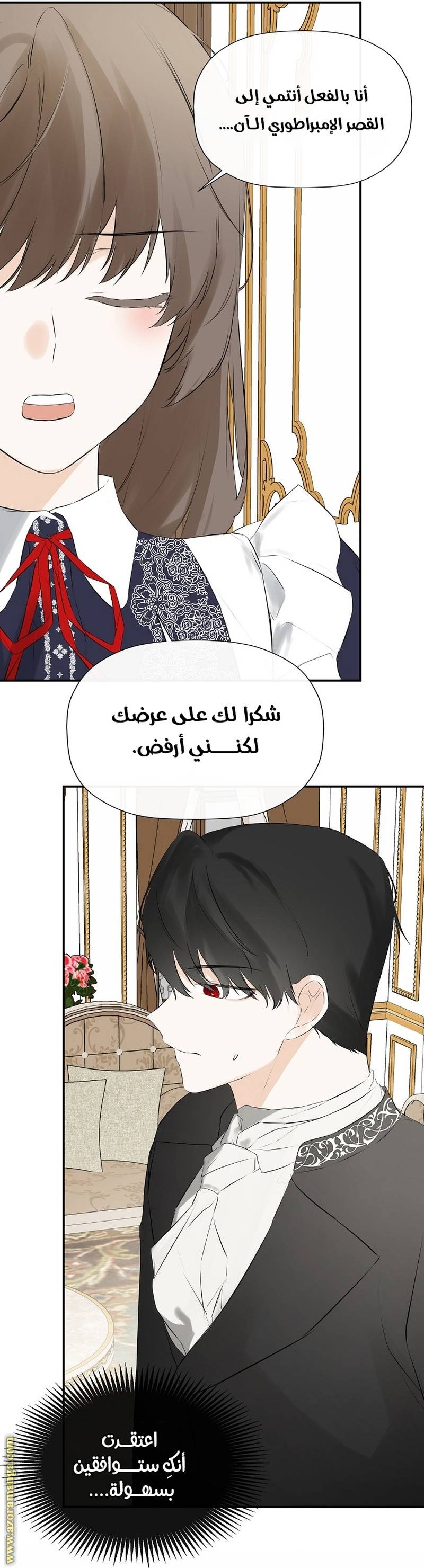الصفحة 12