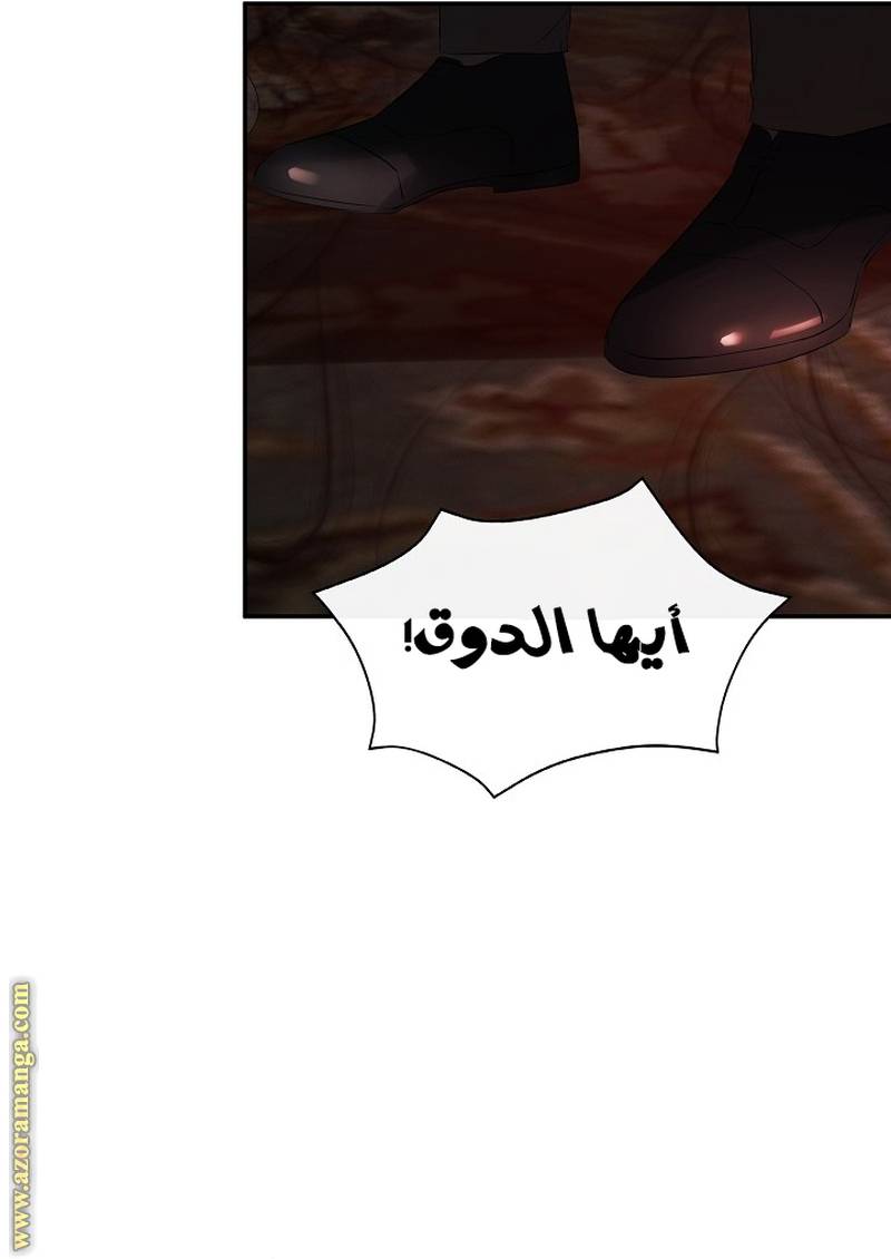 الصفحة 35