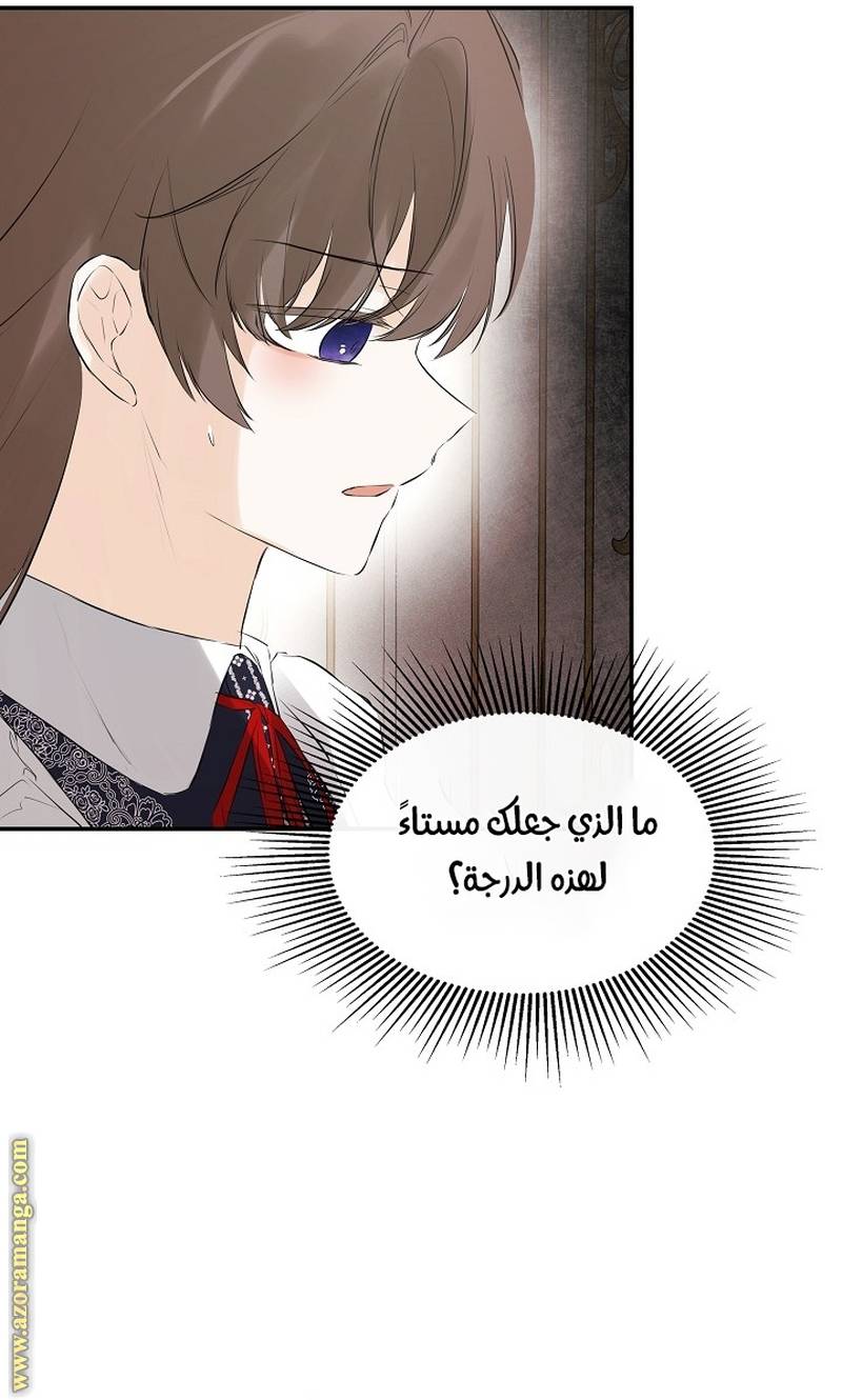 الصفحة 48