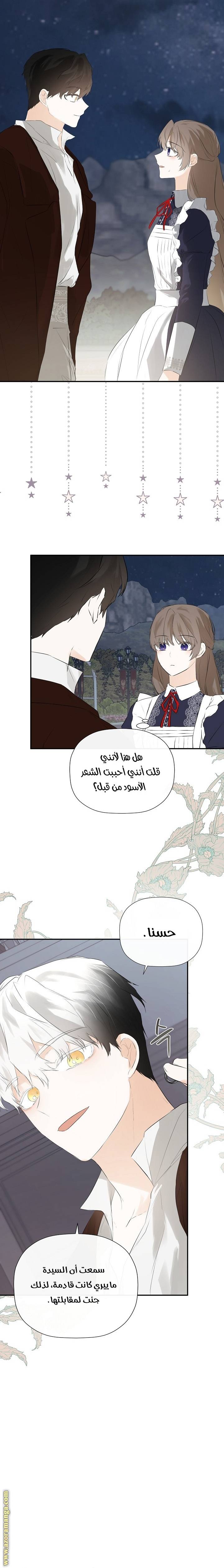 الصفحة 17