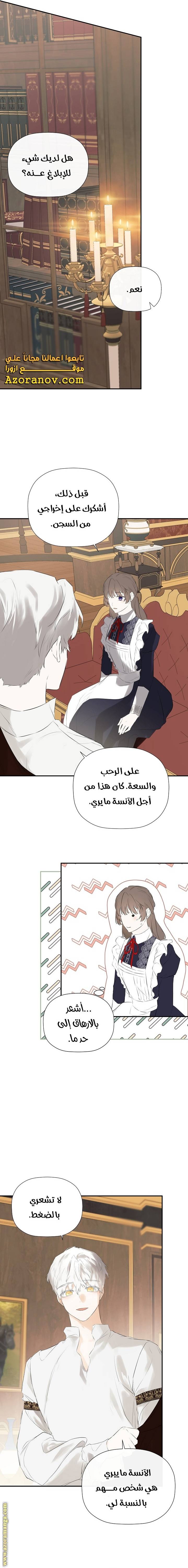 الصفحة 19