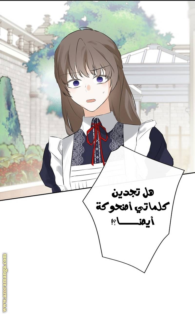 الصفحة 41