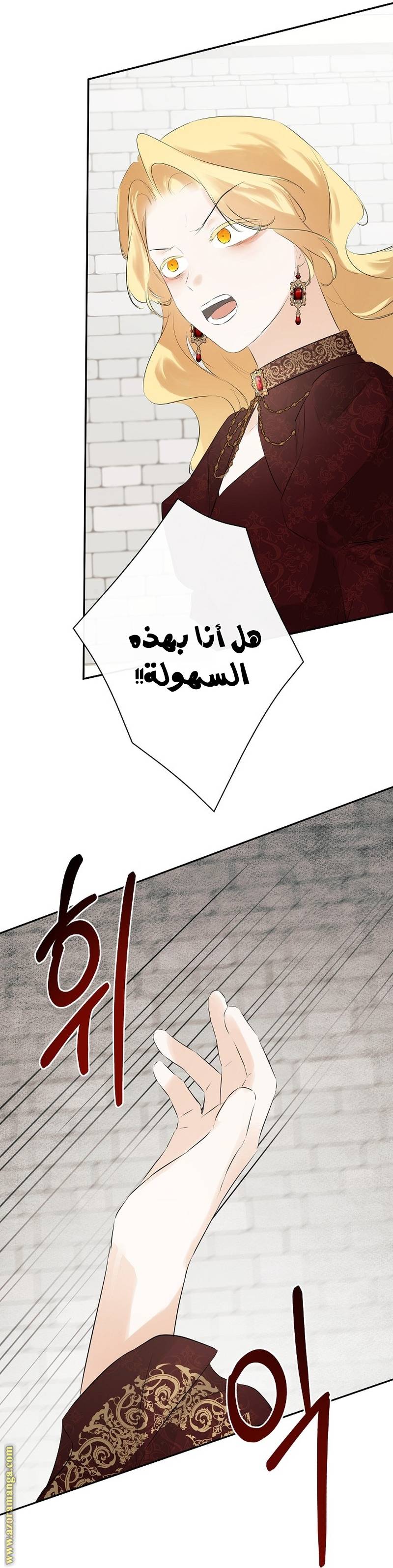 الصفحة 42