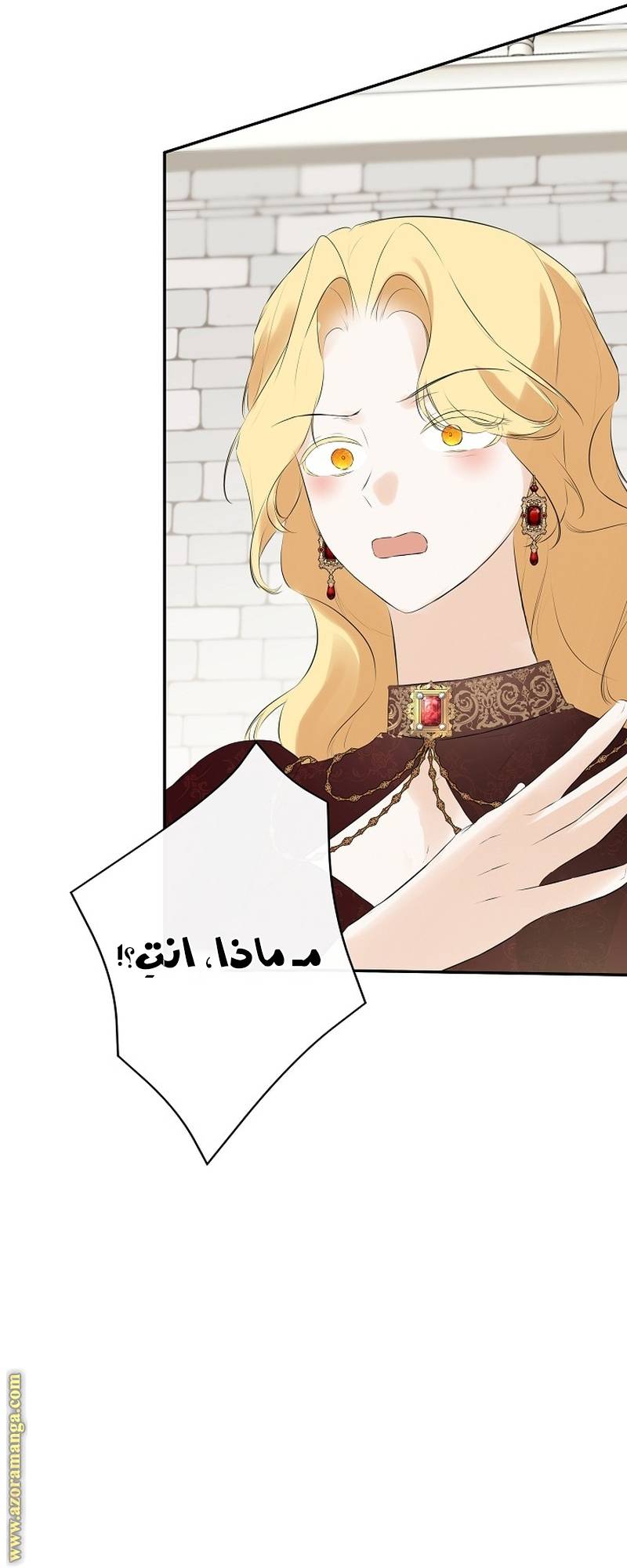 الصفحة 47