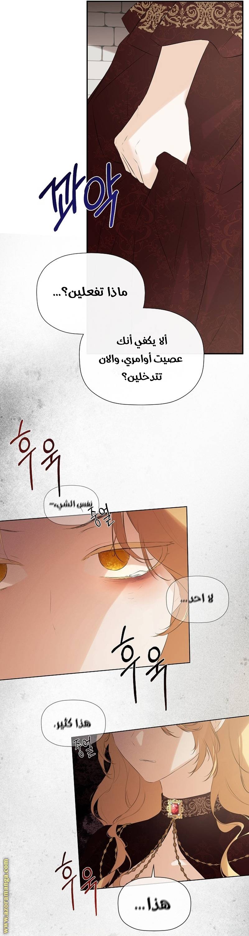 الصفحة 49