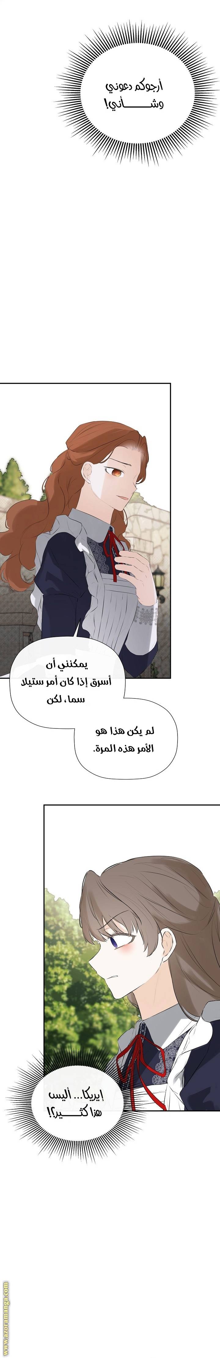 الصفحة 13