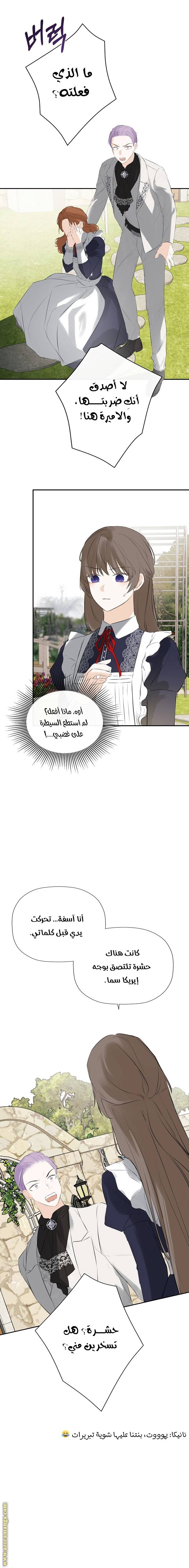 الصفحة 17