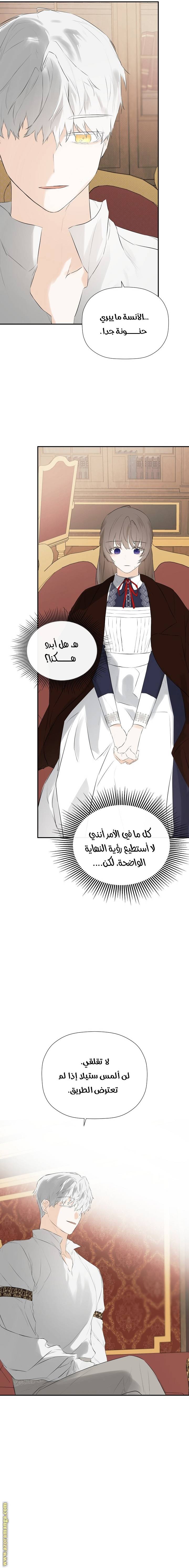 الصفحة 13