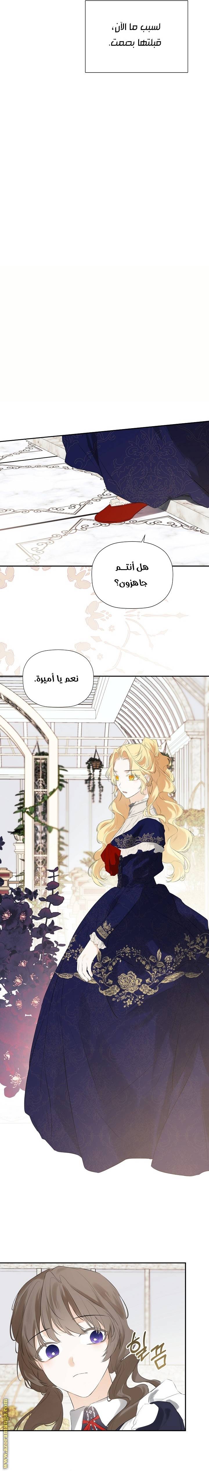 الصفحة 17