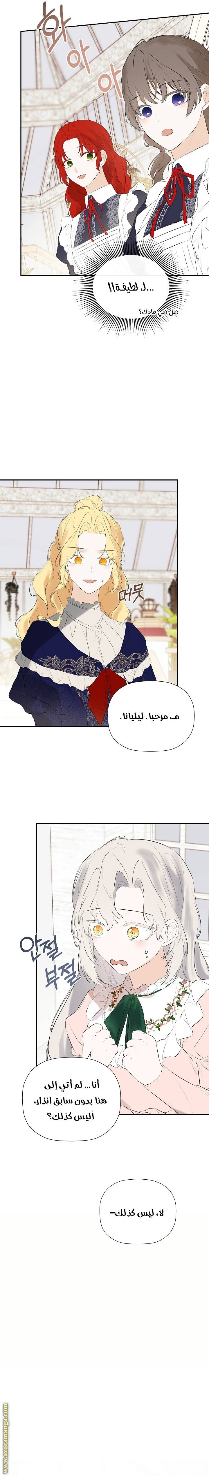 الصفحة 20