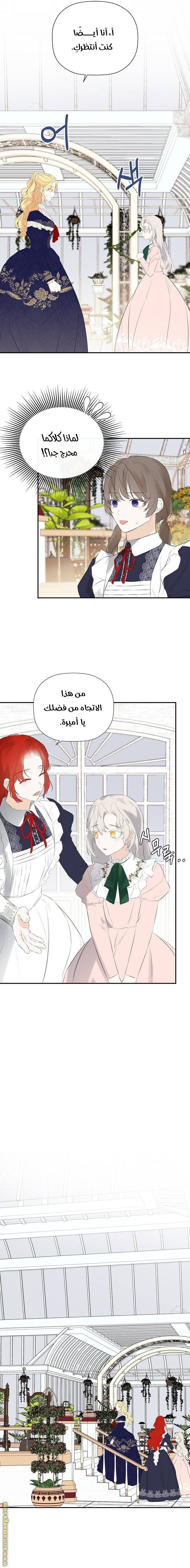 الصفحة 21