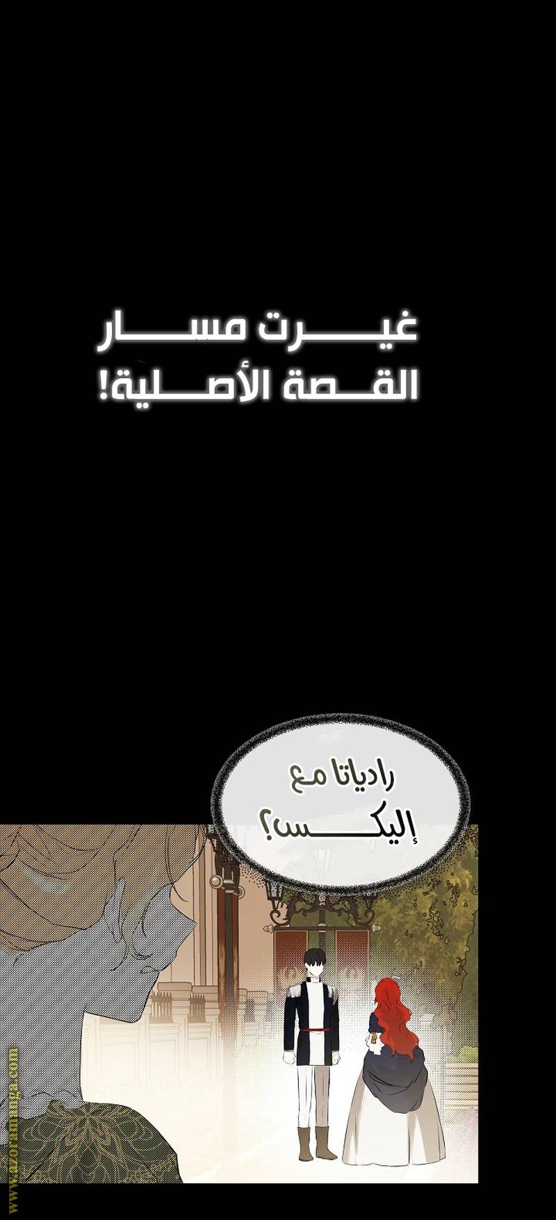 الصفحة 14