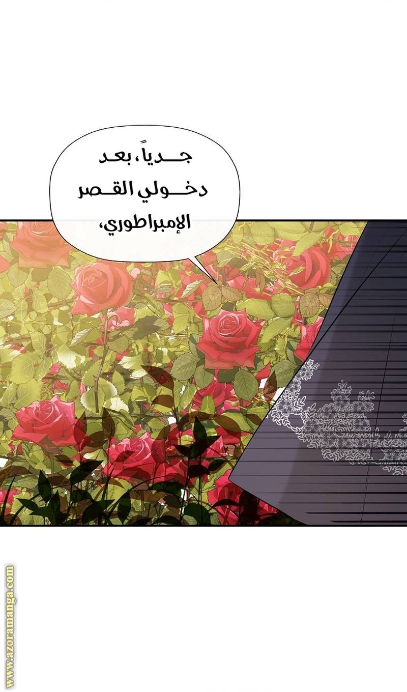الصفحة 33