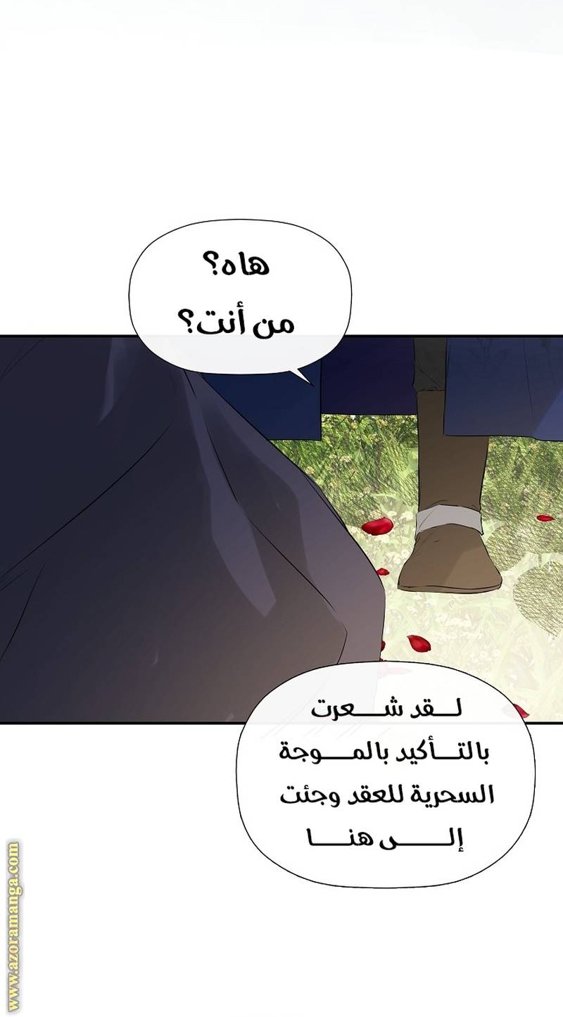 الصفحة 41
