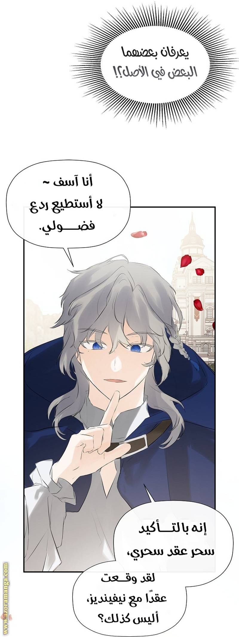 الصفحة 45