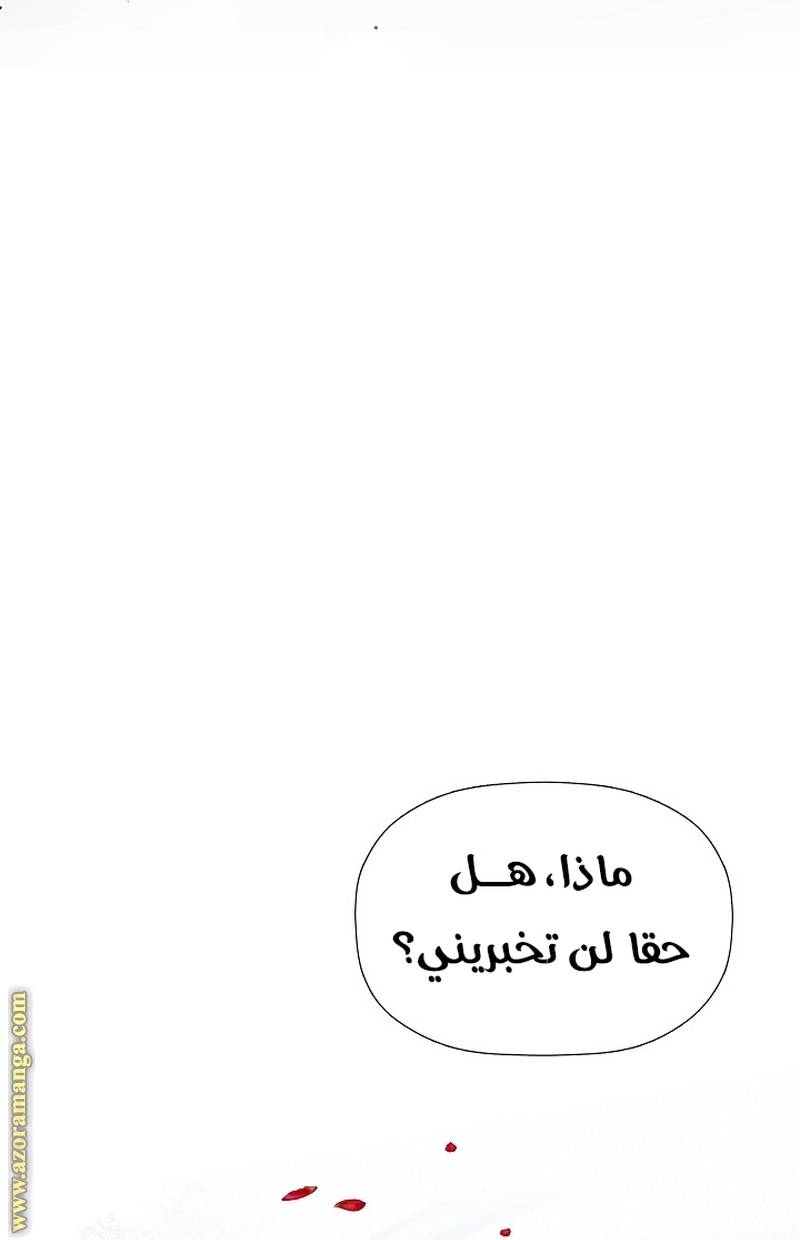 الصفحة 48