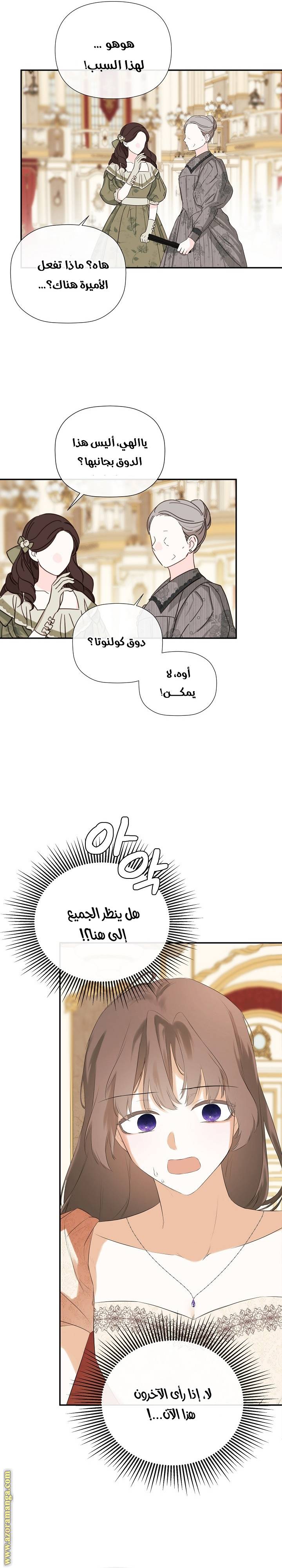 الصفحة 17