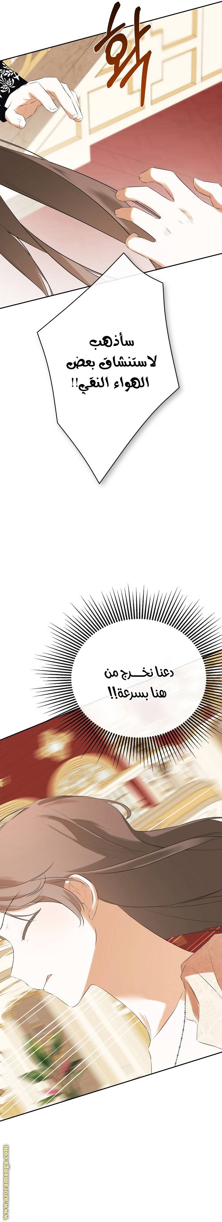 الصفحة 20