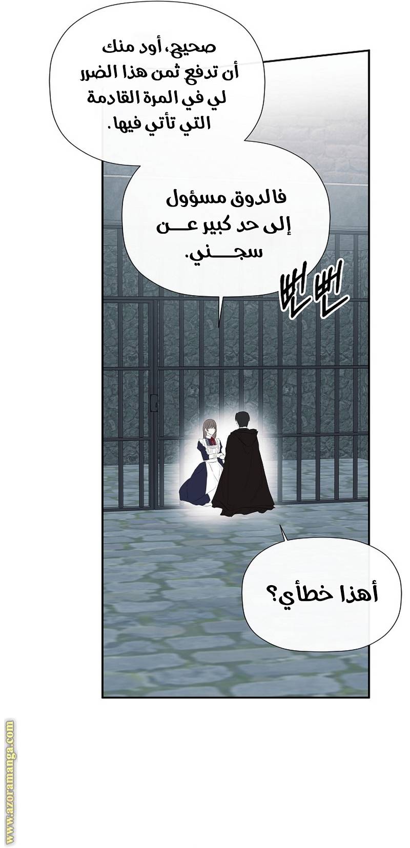 الصفحة 13