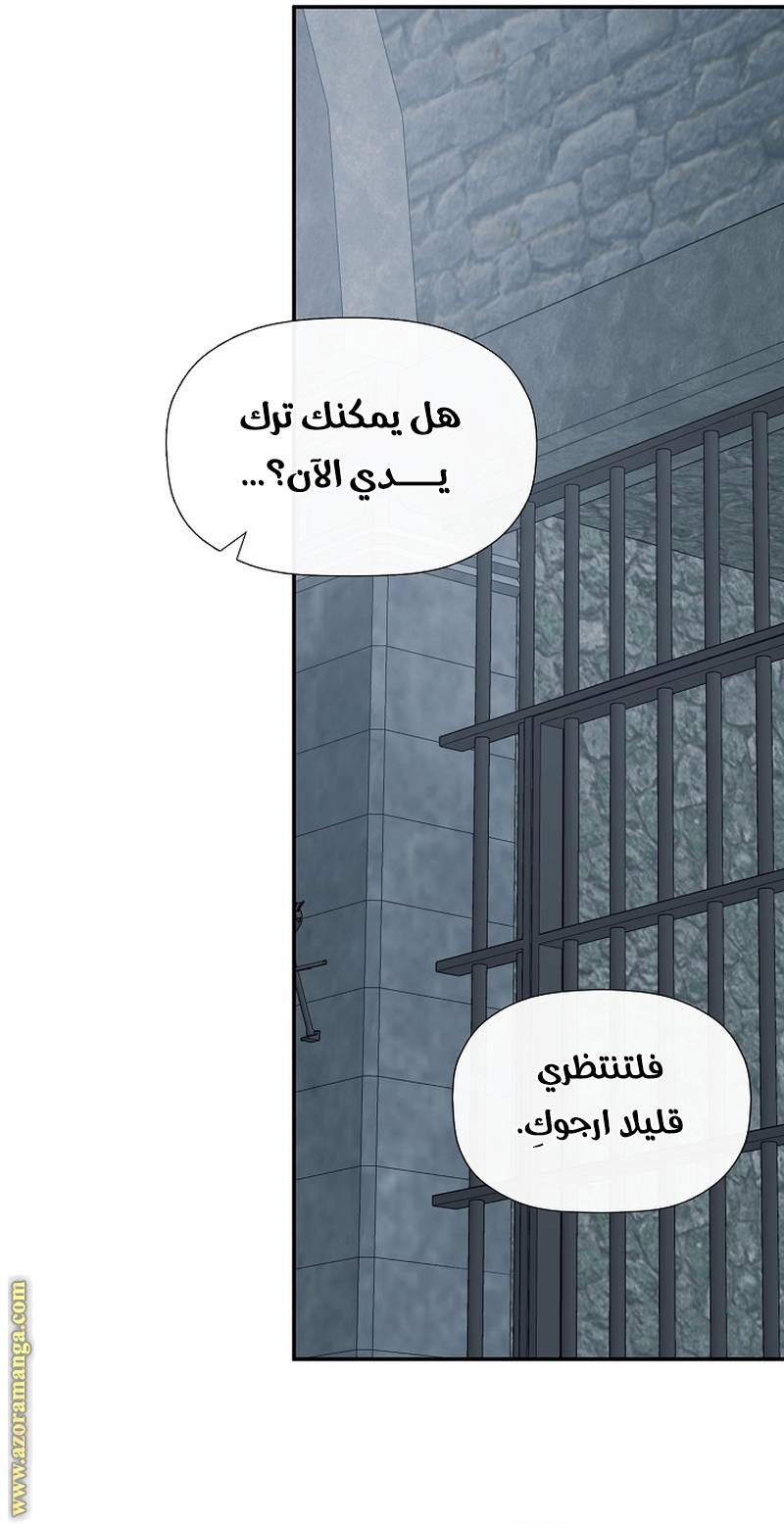 الصفحة 27
