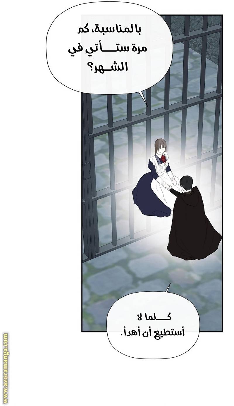 الصفحة 29