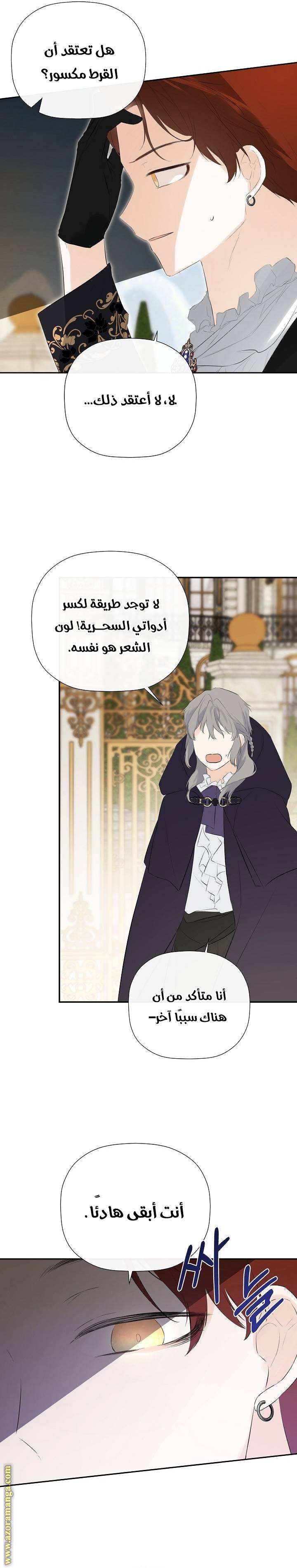 الصفحة 12