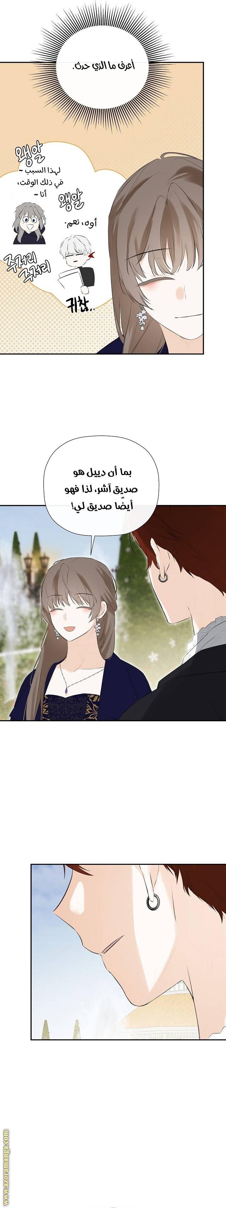 الصفحة 17