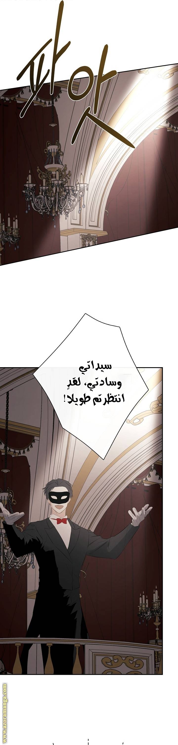الصفحة 27