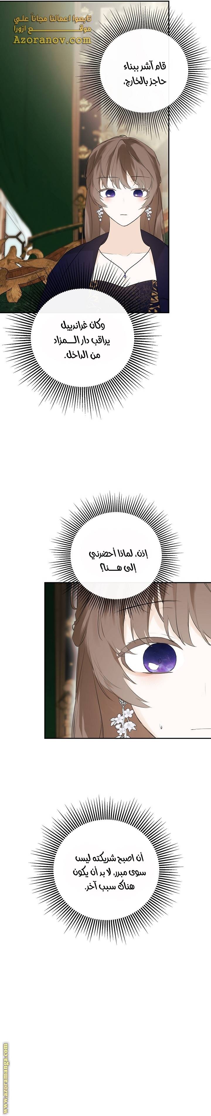 الصفحة 17