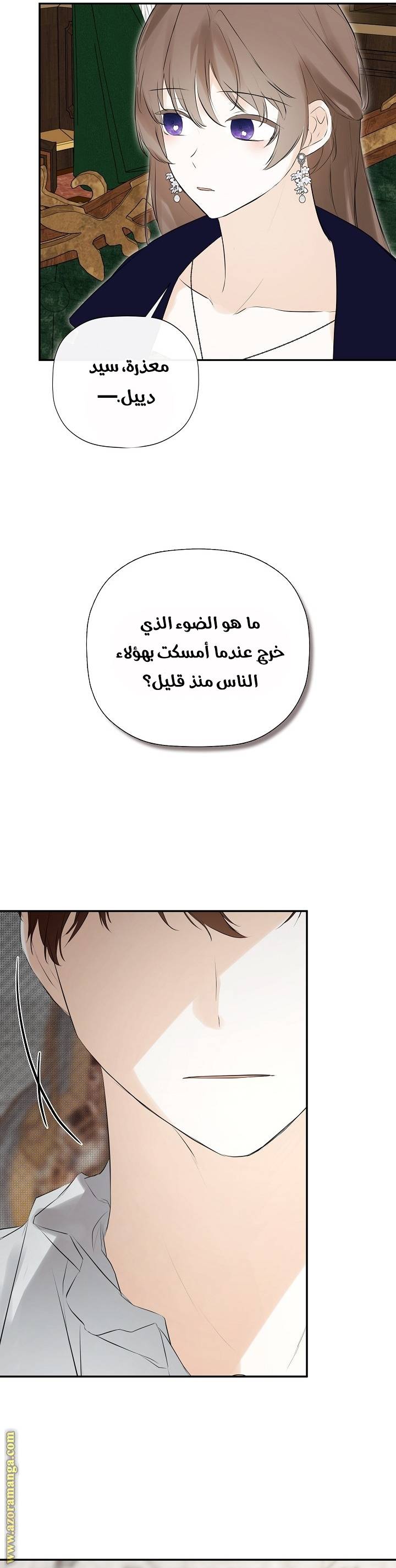 الصفحة 19