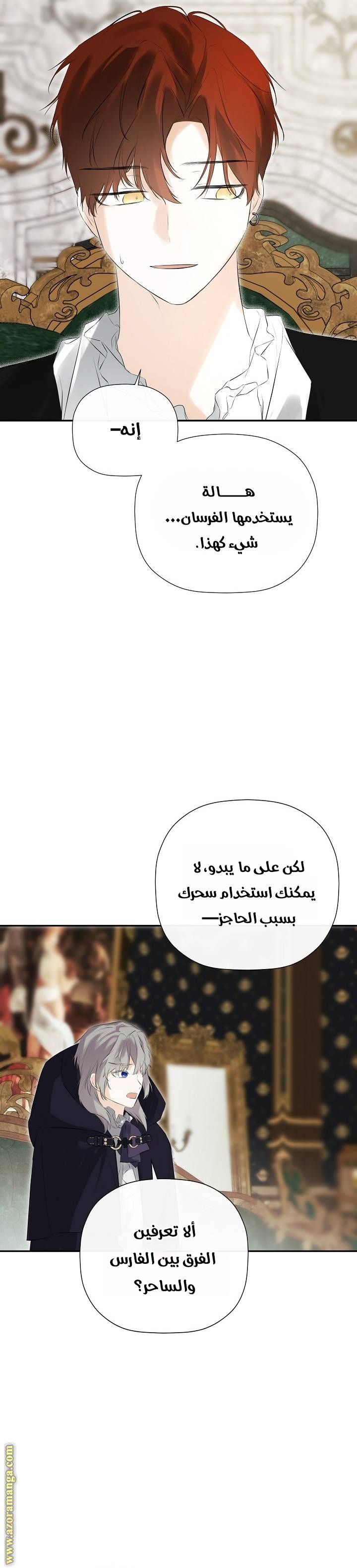 الصفحة 20