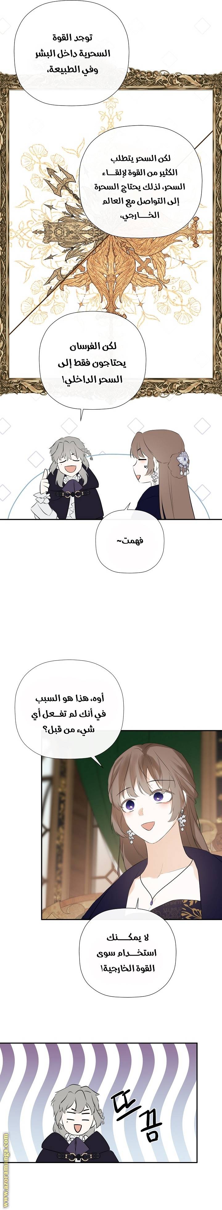 الصفحة 21