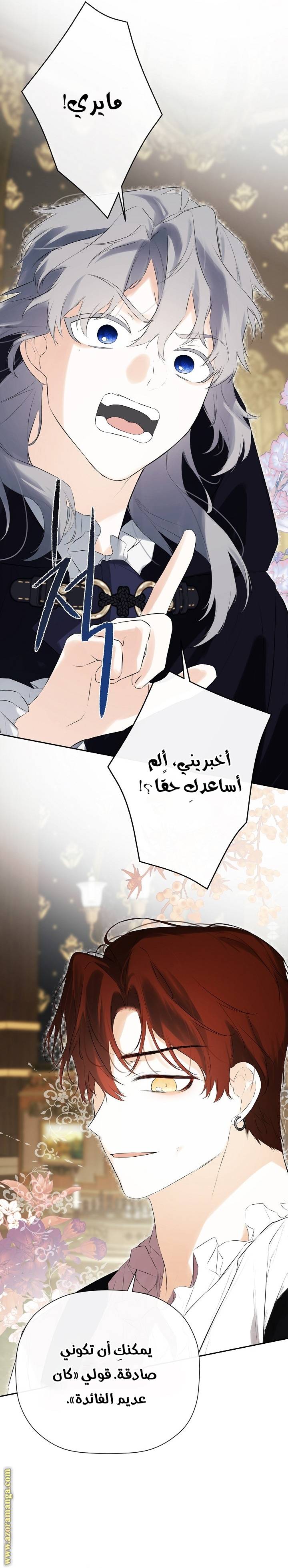 الصفحة 25