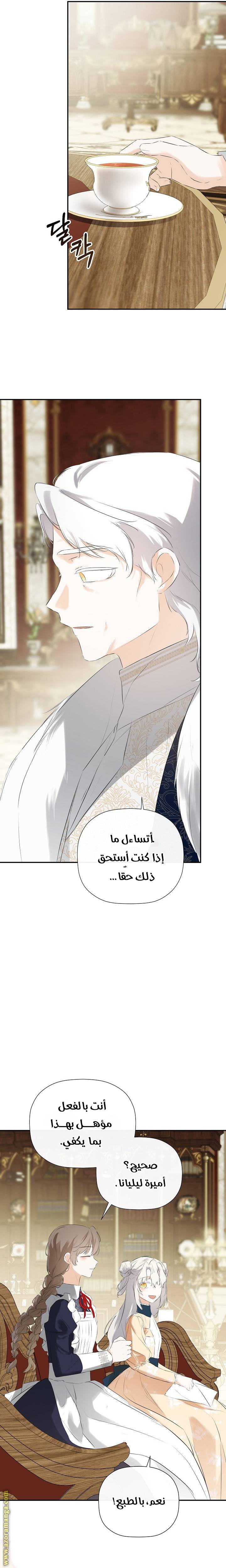 الصفحة 17