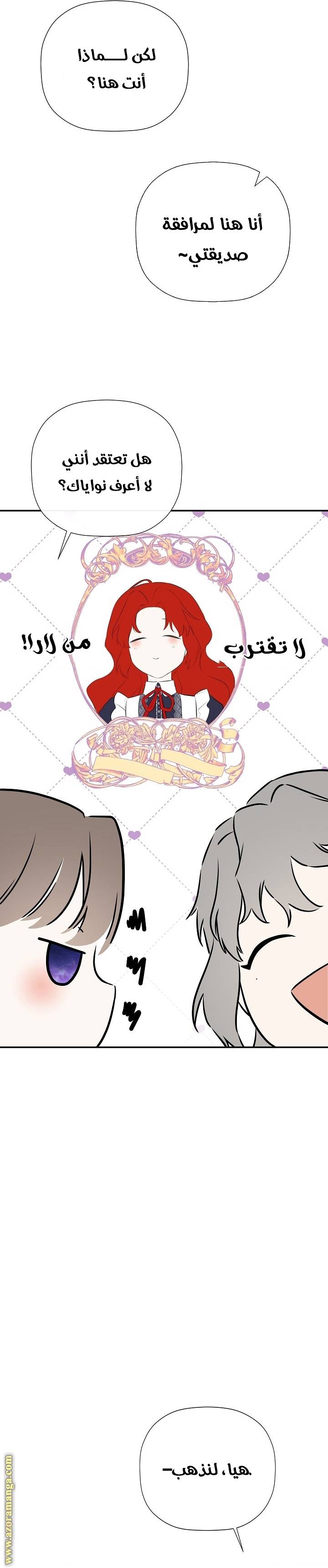 الصفحة 19