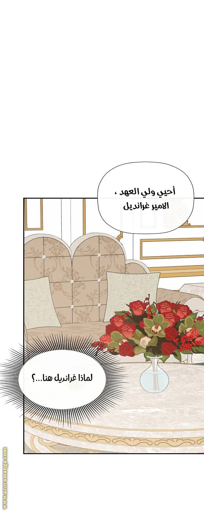 الصفحة 25