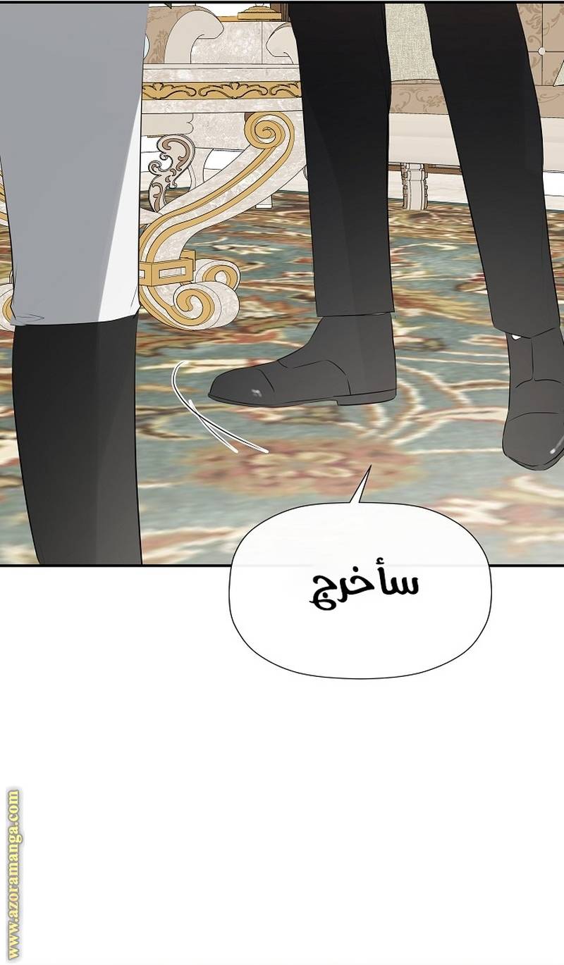 الصفحة 28