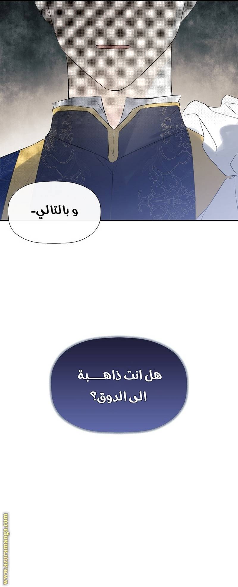 الصفحة 45