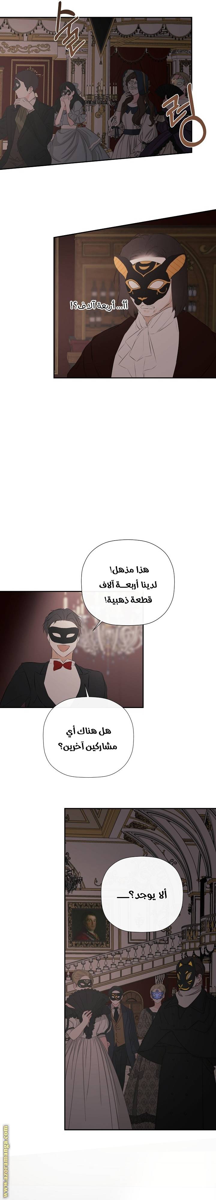 الصفحة 17