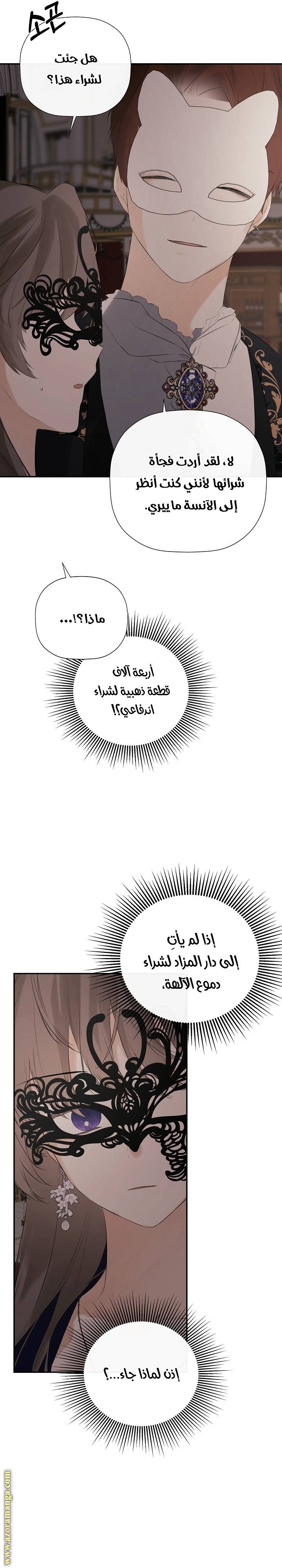 الصفحة 19