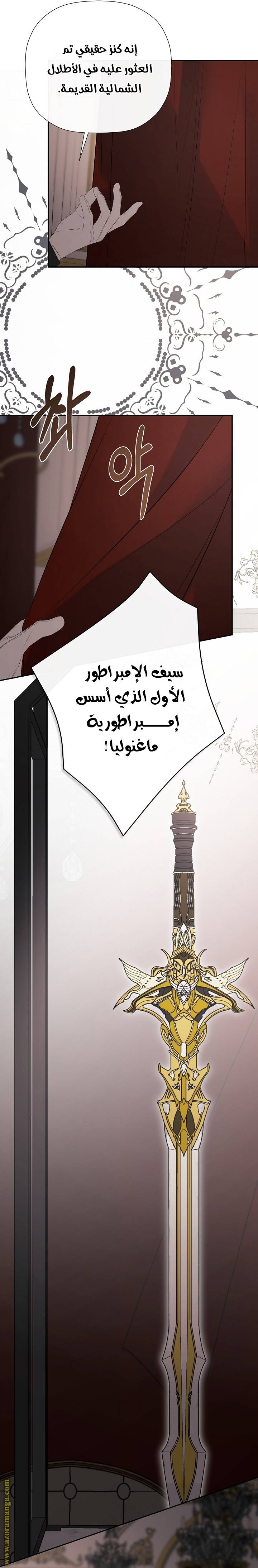 الصفحة 21