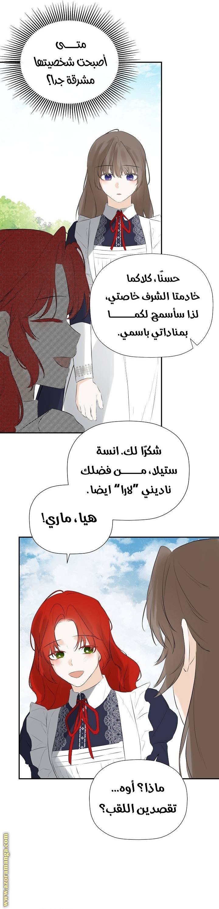 الصفحة 13